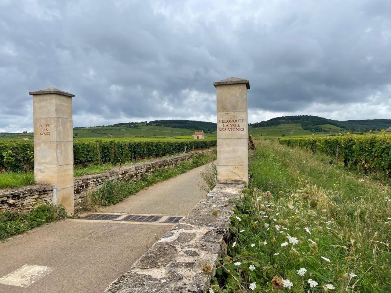 Le Jardin Des Verottes Beaune  Luaran gambar